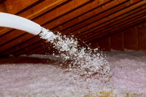 Best Residential Insulation in Baldwin, FL