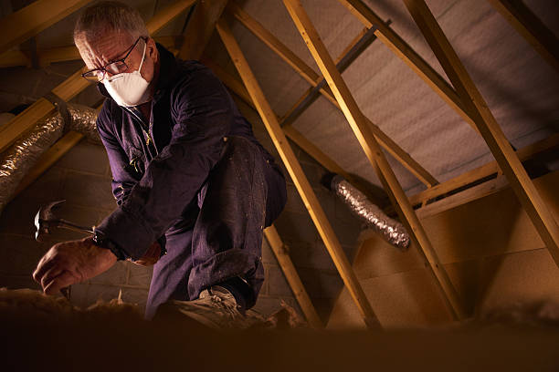 Best Residential Insulation in Baldwin, FL